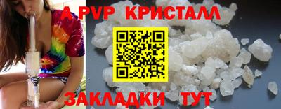 шишки Кандалакша