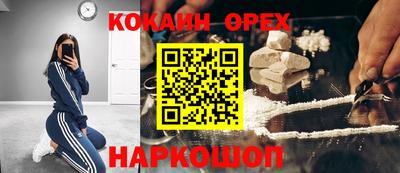 шишки Кандалакша