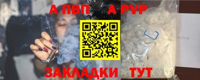 шишки Кандалакша