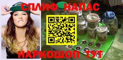 шишки Кандалакша