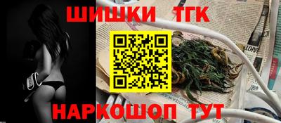 МДПВ Камышлов