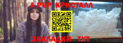 МДПВ Камышлов
