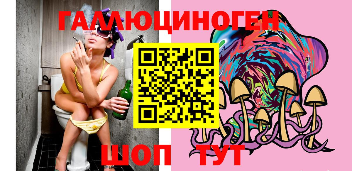 Галлюциногенные грибы Psilocybe Кострома