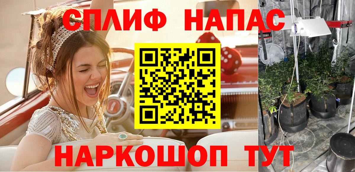 A PVP Кострома